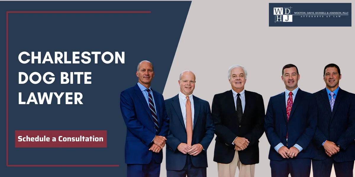 Trusted Charleston Dog Bite Lawyer